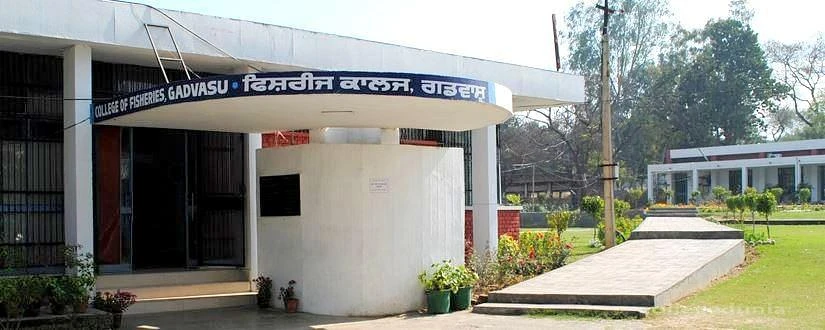 College of Fisheries cover image 2
