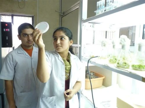 Institute of Bioinformatics and Biotechnology - (IBB) cover image 3