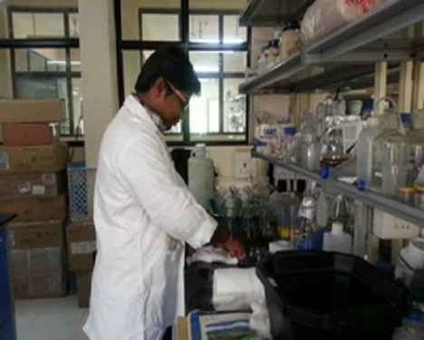 Institute of Bioinformatics and Biotechnology - (IBB) cover image 5