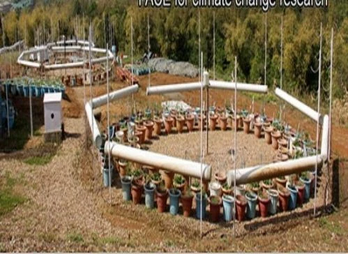 Institute of Himalayan Bioresource Technology - (IHBT) campus gallery