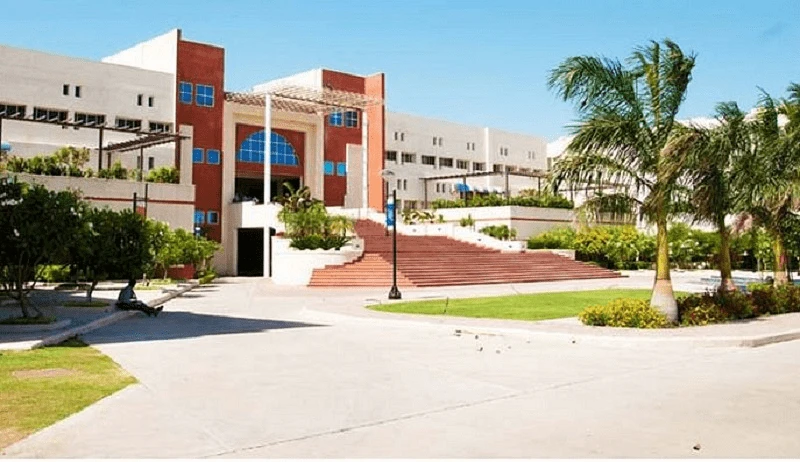 Indore Institute of Management and Research (IIMR) cover image 2