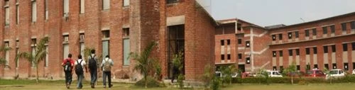 IILM Graduate School of Management (IILM GSM) cover image 6