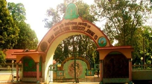 Assam Agricultural University (AAU) cover image 2