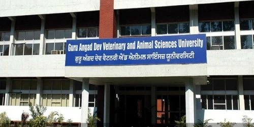 Guru Angad Dev Veterinary and Animal Sciences University (GADVASU) cover image 5