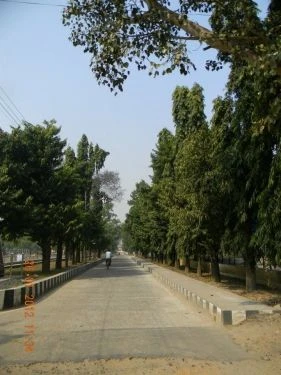Department of Management Studies, NIT (DMS NIT) cover image 2