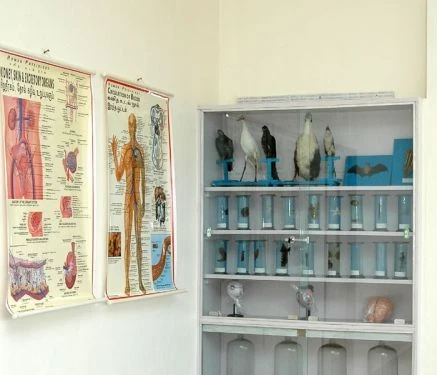 Indian College of Education cover image 7