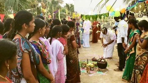 Imayam Institute of Agriculture and Technology (IIAT) cover image 6