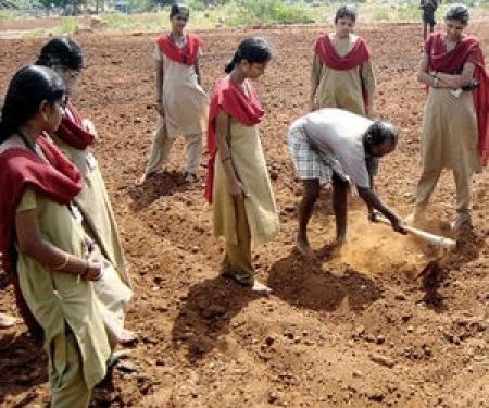 Tamil Nadu Agricultural University, Agricultural College and Research Institute cover image 3