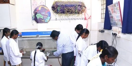 Indira Gandhi College of Arts and Science cover image 6