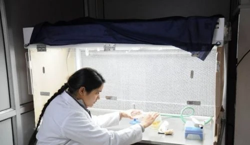 Akal College of Basic Sciences - (ACBS) campus gallery
