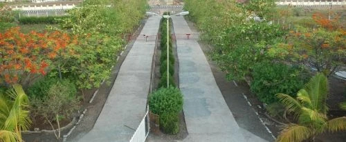 Institute Of Management cover image 7