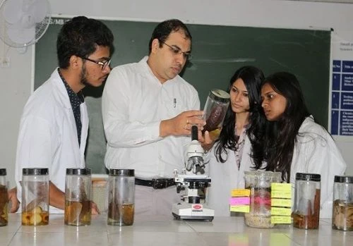 Dayananda Sagar University (DSU) cover image 6