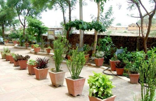 Bhagyoday Tirth Pharmacy College - (BTPC) cover image 4