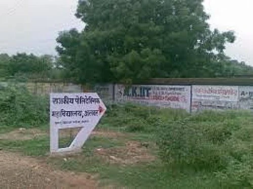 Government Commerce College cover image 3