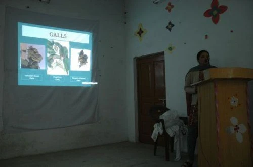 B.S.M. P.G. College (BSMPGC) campus gallery