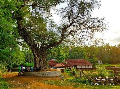 Ashtamgam Ayurveda Chikitsalayam & Vidyapeedham - (AACV) cover image 2