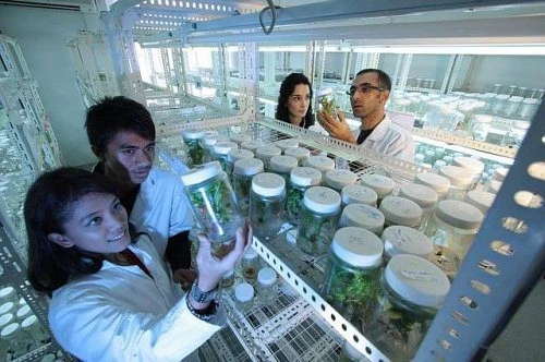Chhatrapati Shivaji Institute of Pharmacy - (CSIP) cover image 7