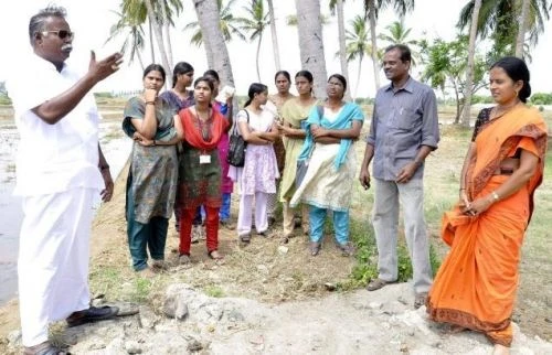 Agricultural College and Research Institute (ACRI) cover image 6