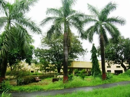 Bombay Veterinary College - (BVC) cover image 6