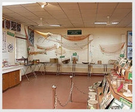 Central Marine Fisheries Research Institute (CMFRI) cover image 2