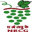 National Research Centre for Grapes (NRCG) Manjri logo
