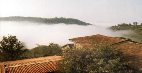 Coorg Institute of Dental Sciences (CIDS) cover image 2