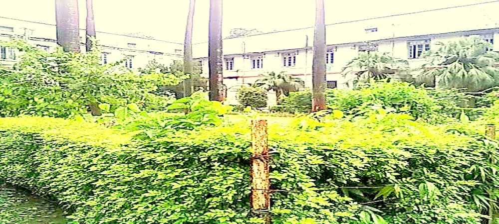 Bihar National College campus