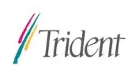 Abhishek Industries(Trident Group)
