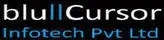 BluCursor Infotech Pvt. Ltd.
