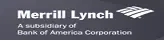 DSP Merrill Lynch