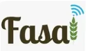 Fasa