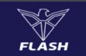 Flash Electronics