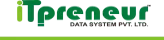 Itpreneur Data Services