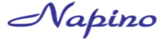 Napino Auto & Electronics Limited