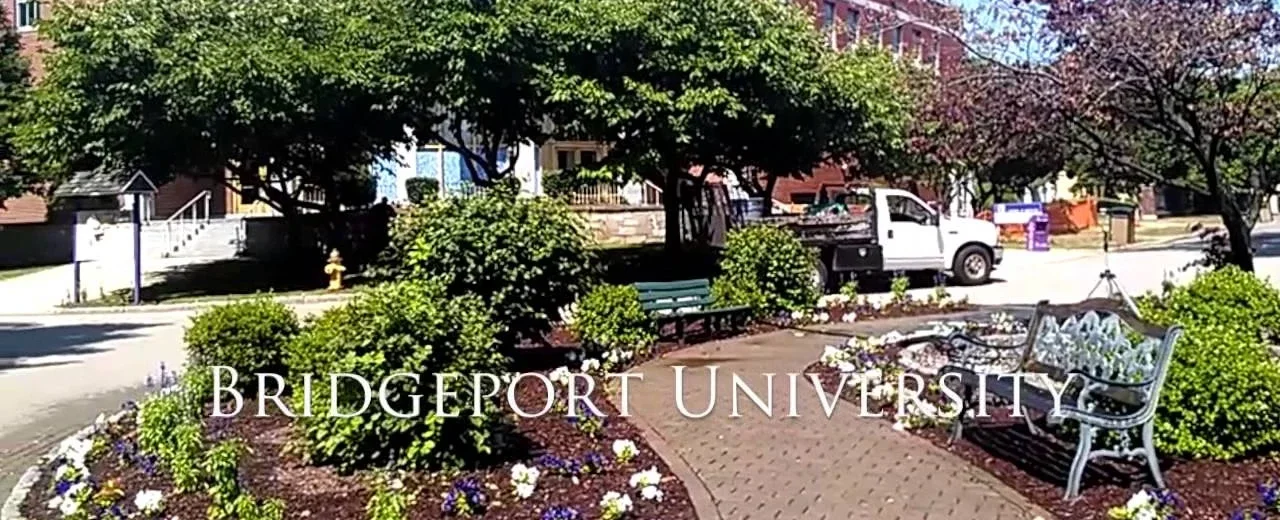 University of Bridgeport cover