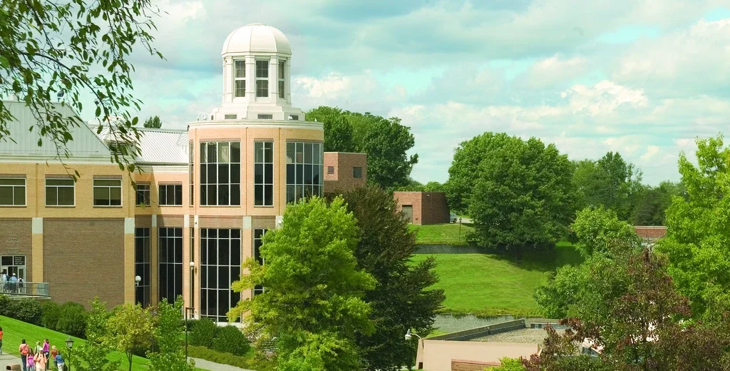 Robert Morris University - Illinois cover