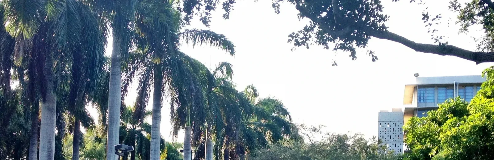 University of Miami Online cover