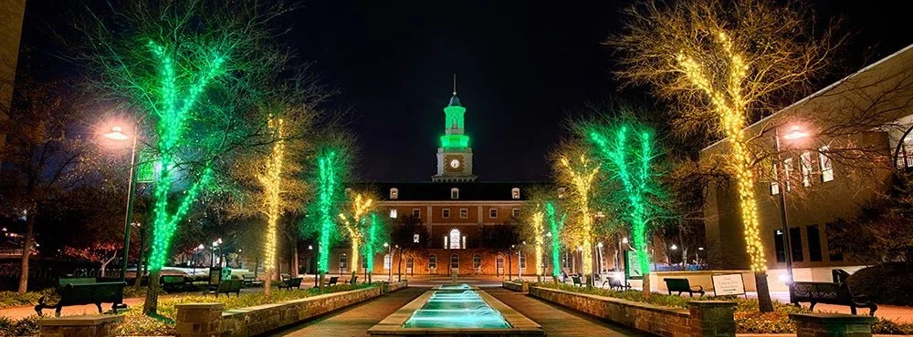 University of North Texas cover
