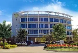 Millennia Atlantic University cover
