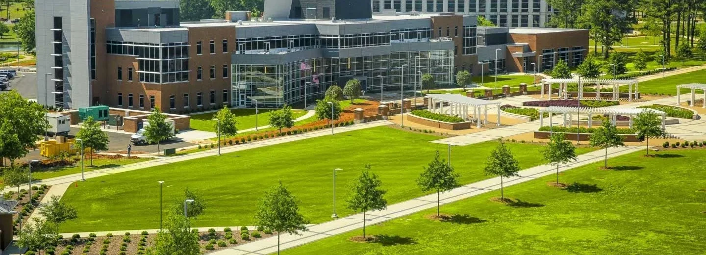 University of Alabama cover