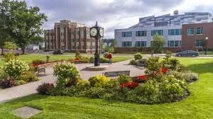 Saint Francis University cover