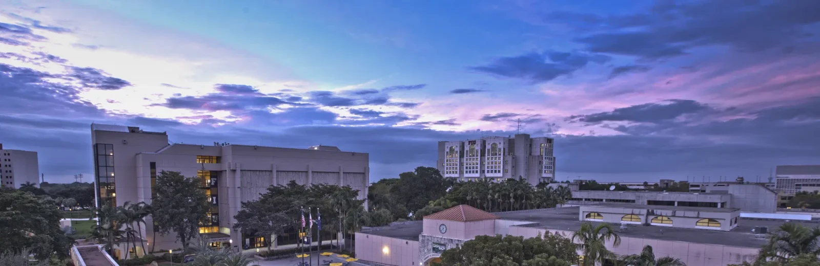 Florida International University cover