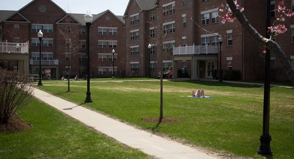 Stevenson University cover