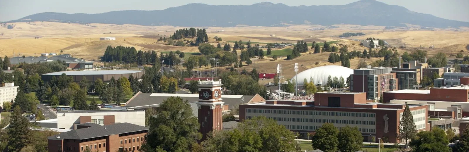 Washington State University cover