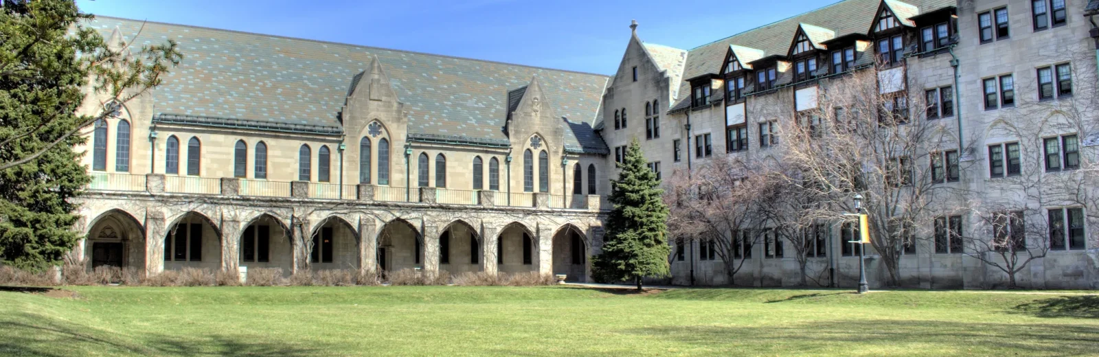 Dominican University cover