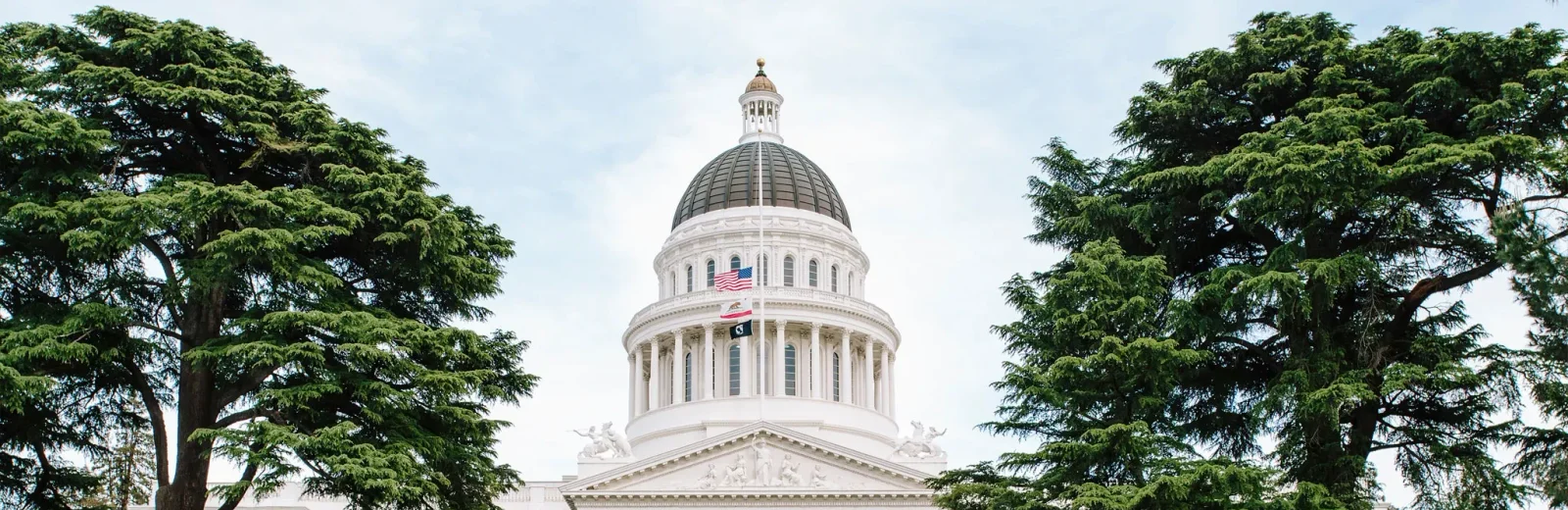 University of San Francisco cover