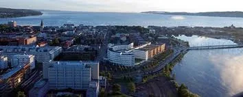 Jonkoping University cover