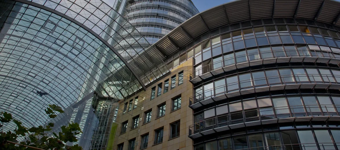 Dresden International University cover