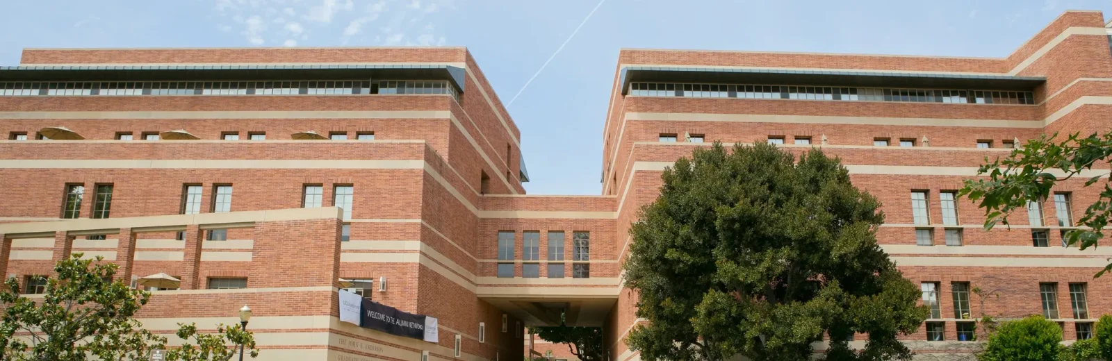 Anderson School of Management cover