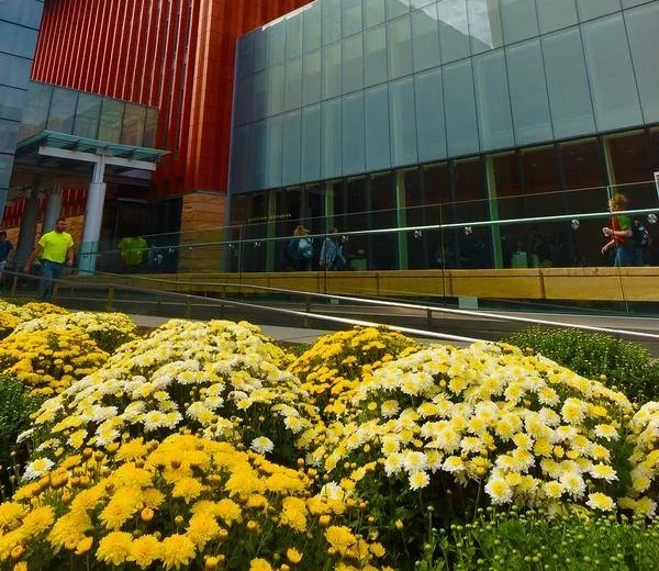 Ross School of Business cover